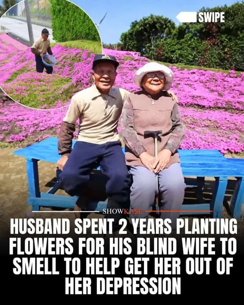 Husband and wife sitting on a blue bench in a flower garden, smiling.