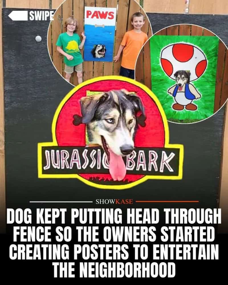 Dog putting head through fence, surrounded by posters, with a Jurassic Bark sign.