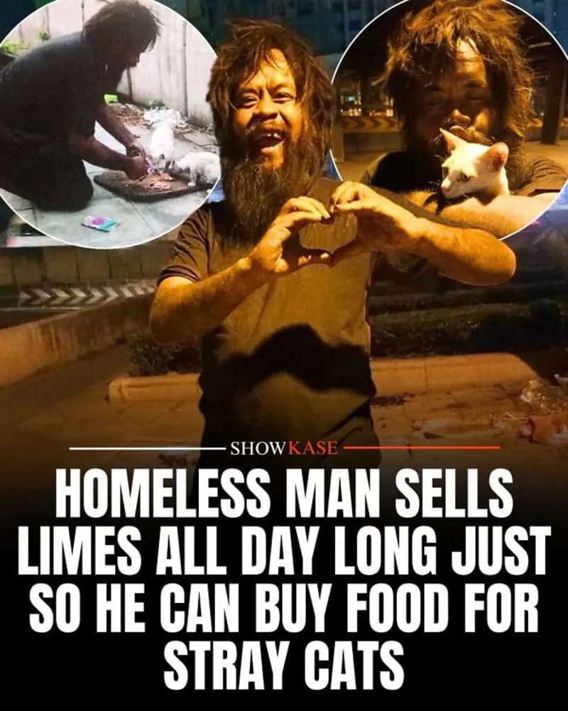 Homeless man with long hair and beard making a heart shape with his hands, with two inset images of.