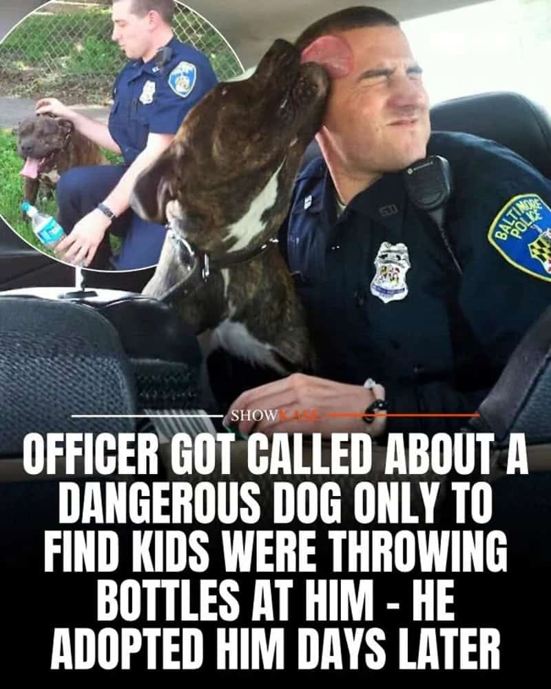 Police officer with dog in car, dog licking his face, caption about dog adoption.