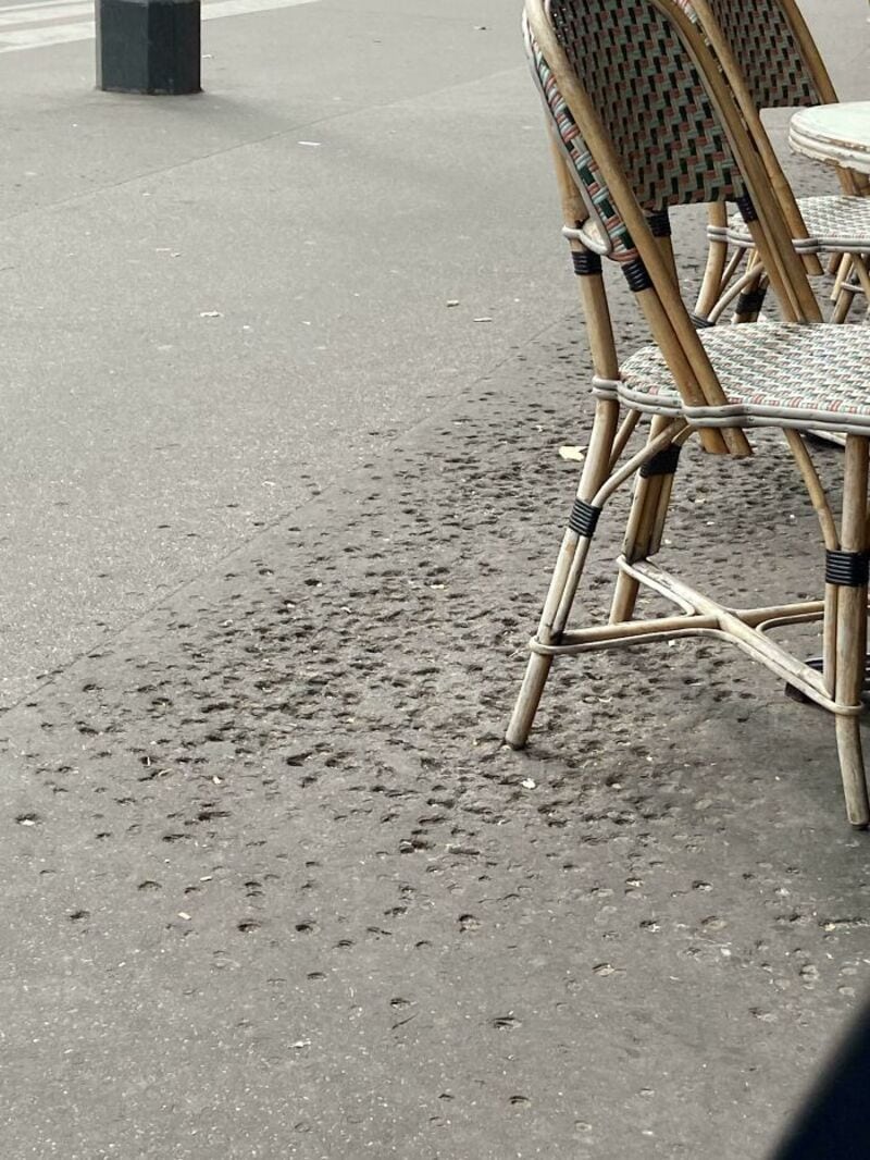 Outdoor cafe chairs on a sidewalk with dirt and footprints nearby.