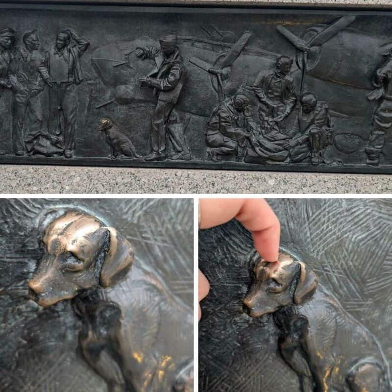 Close-up of a bronze dog sculpture with a person's finger touching its head.