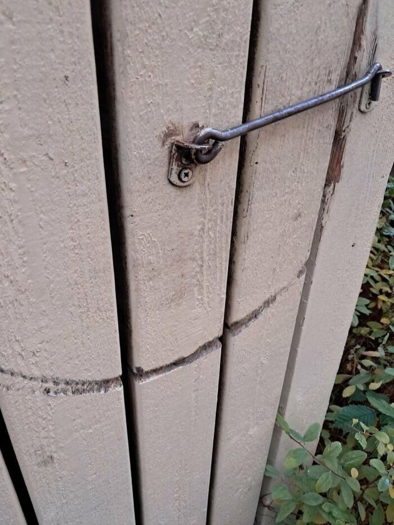 Close-up of a weathered wooden shed door with a metal latch and lock.