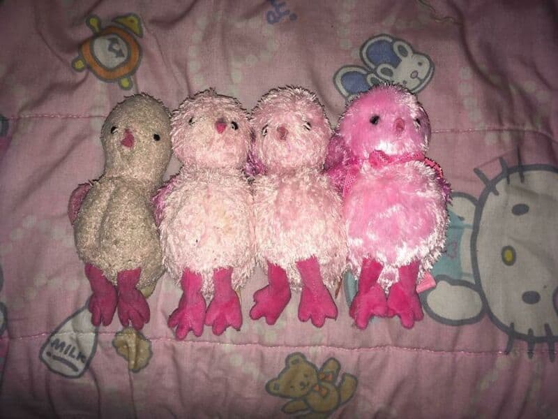 Four worn pink and beige plush toys with pink feet on a Hello Kitty blanket.