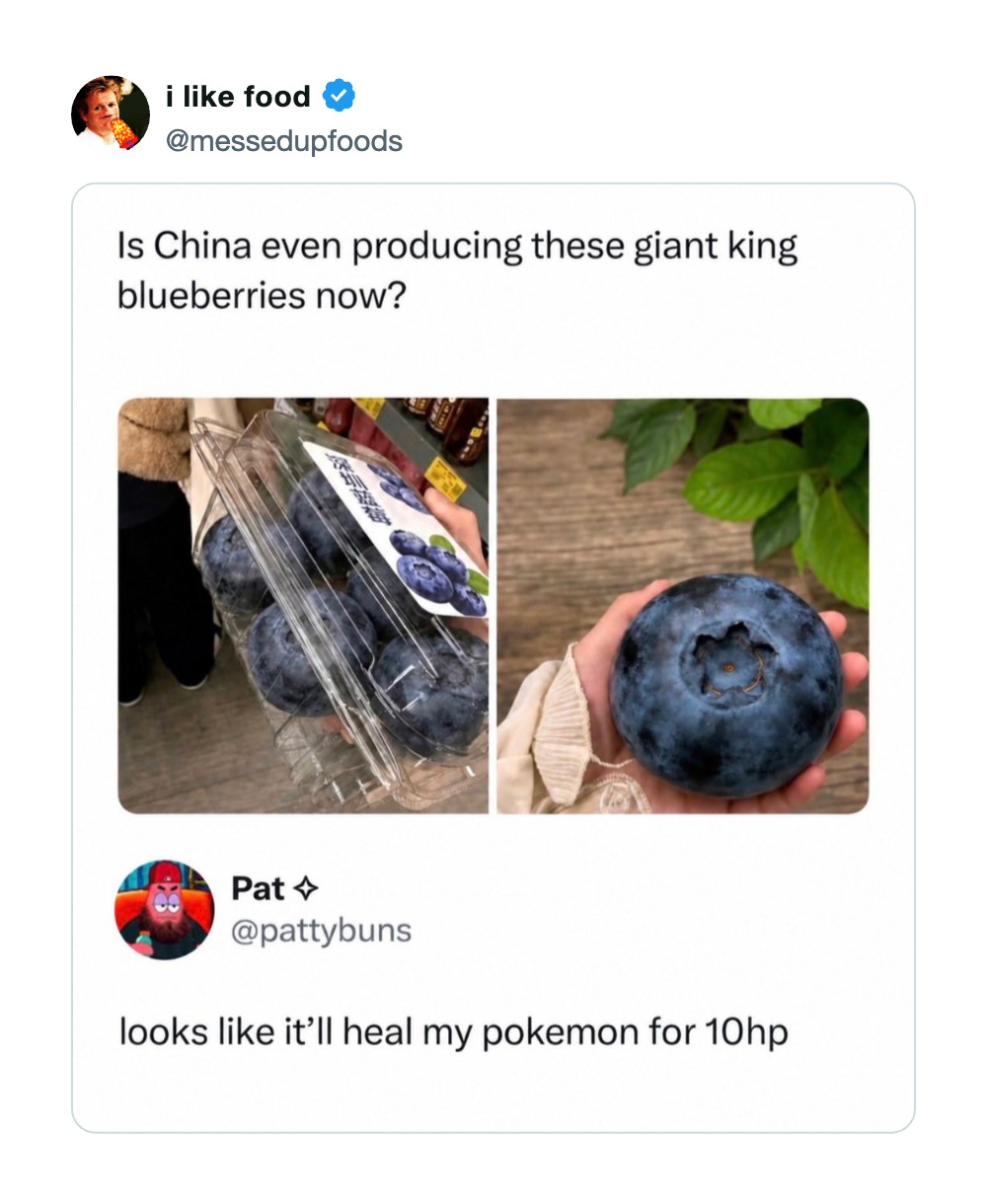 Is China producing giant king blueberries now?.