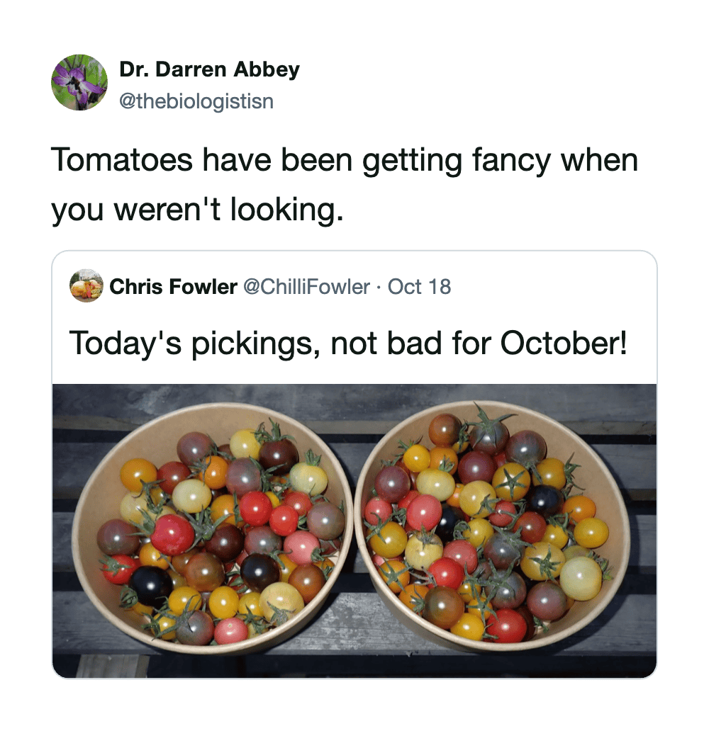 Two bowls of colorful cherry tomatoes, some with green stems, on a dark surface.