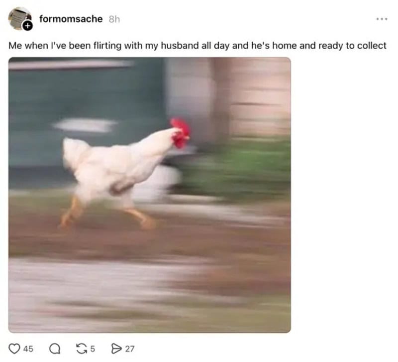 Chicken running quickly with a blurred background, caption about flirting with husband.