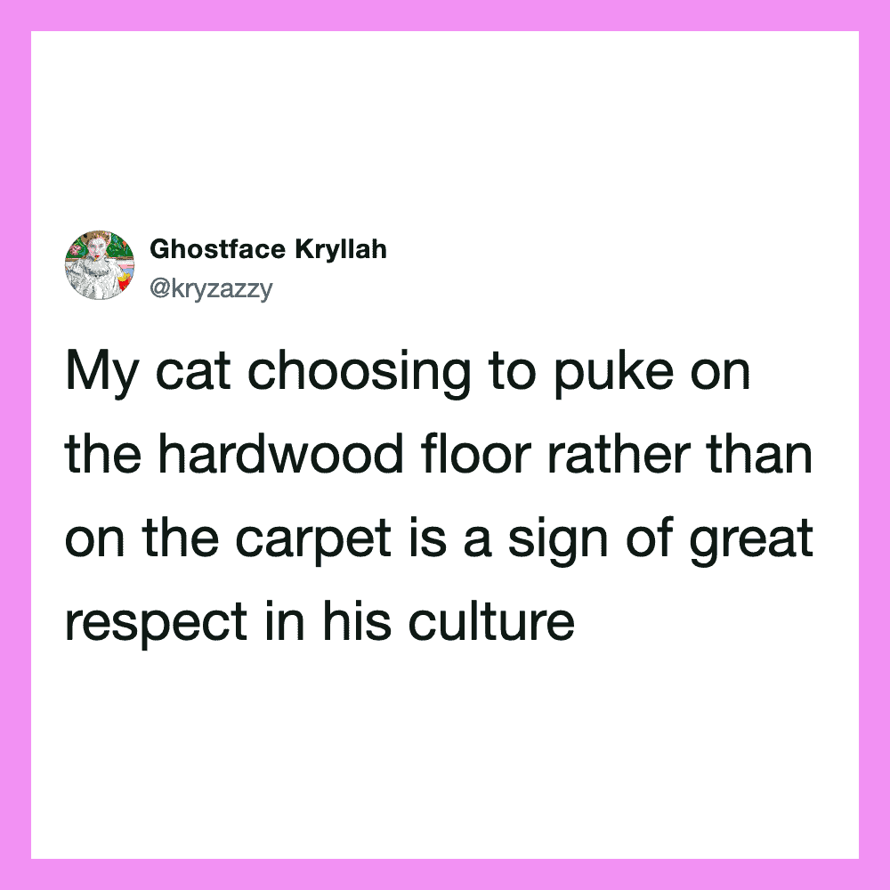 My cat choosing to puke on the hardwood floor rather than on the carpet is a sign of great respect.