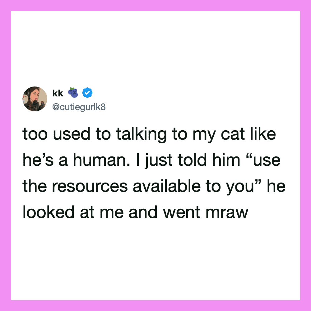 Too used to talking to my cat like he’s a human. I just told him “use the resources available to you.