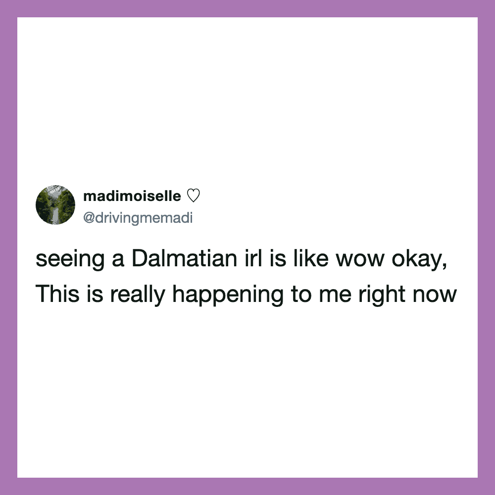 Tweet by madmoiselle about seeing a Dalmatian in real life.