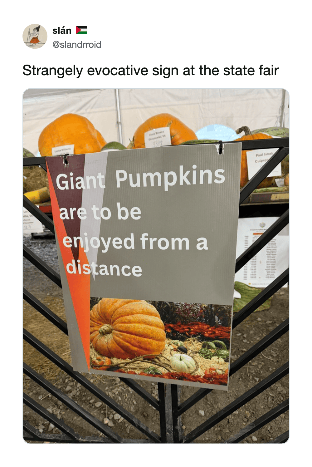 Sign at state fair says giant pumpkins are to be enjoyed from a distance.