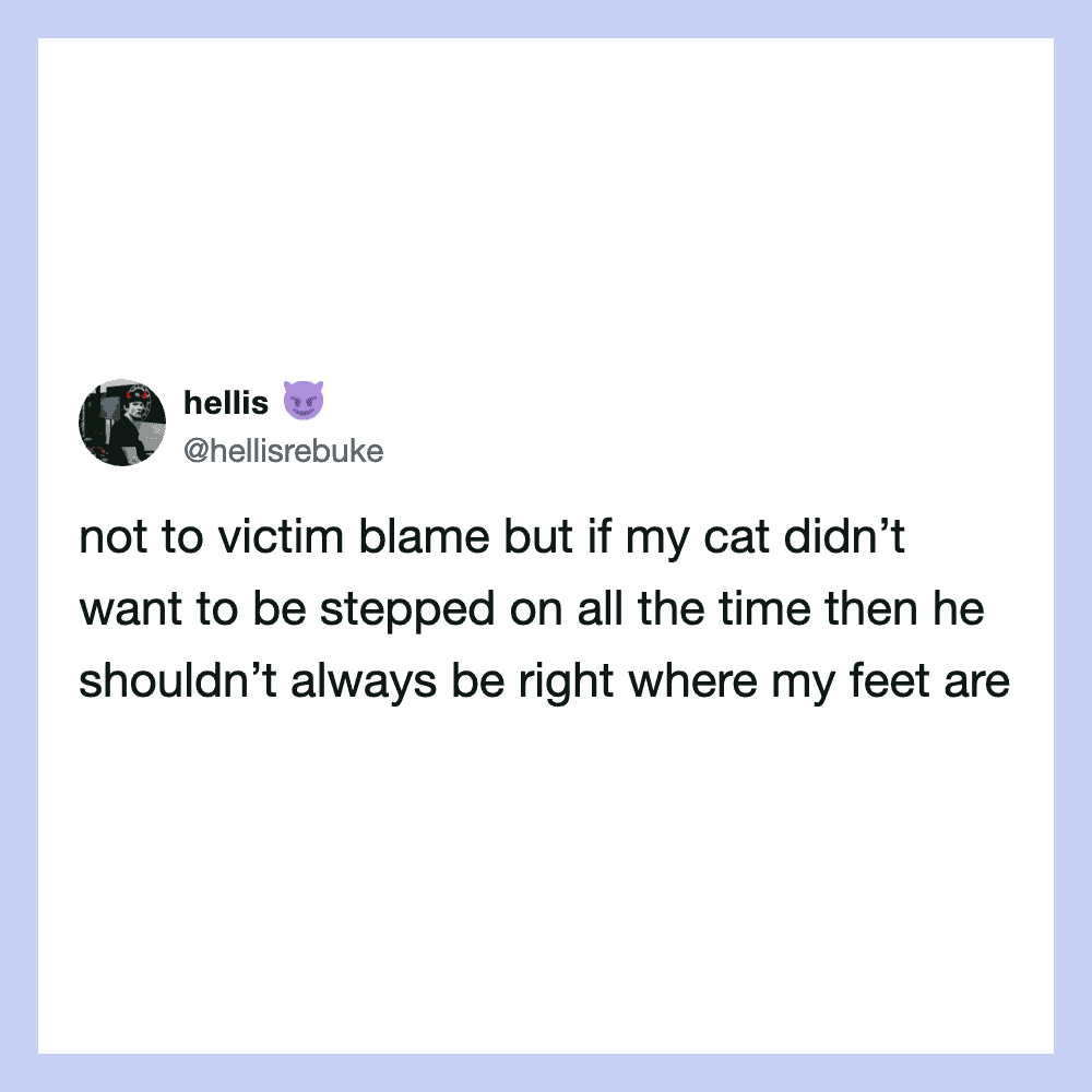 Tweet about cat not wanting to be stepped on, from hellisrebuke.