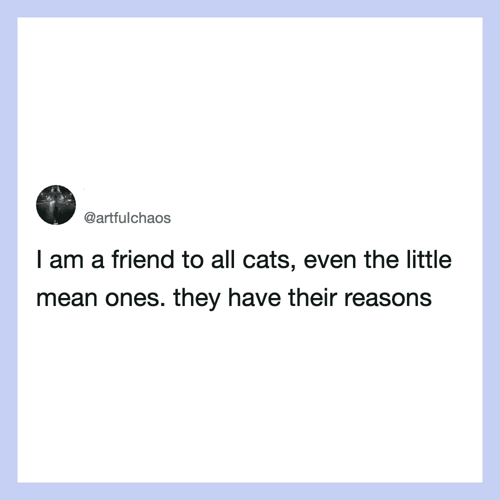 Friend to all cats, even the little mean ones. They have their reasons.