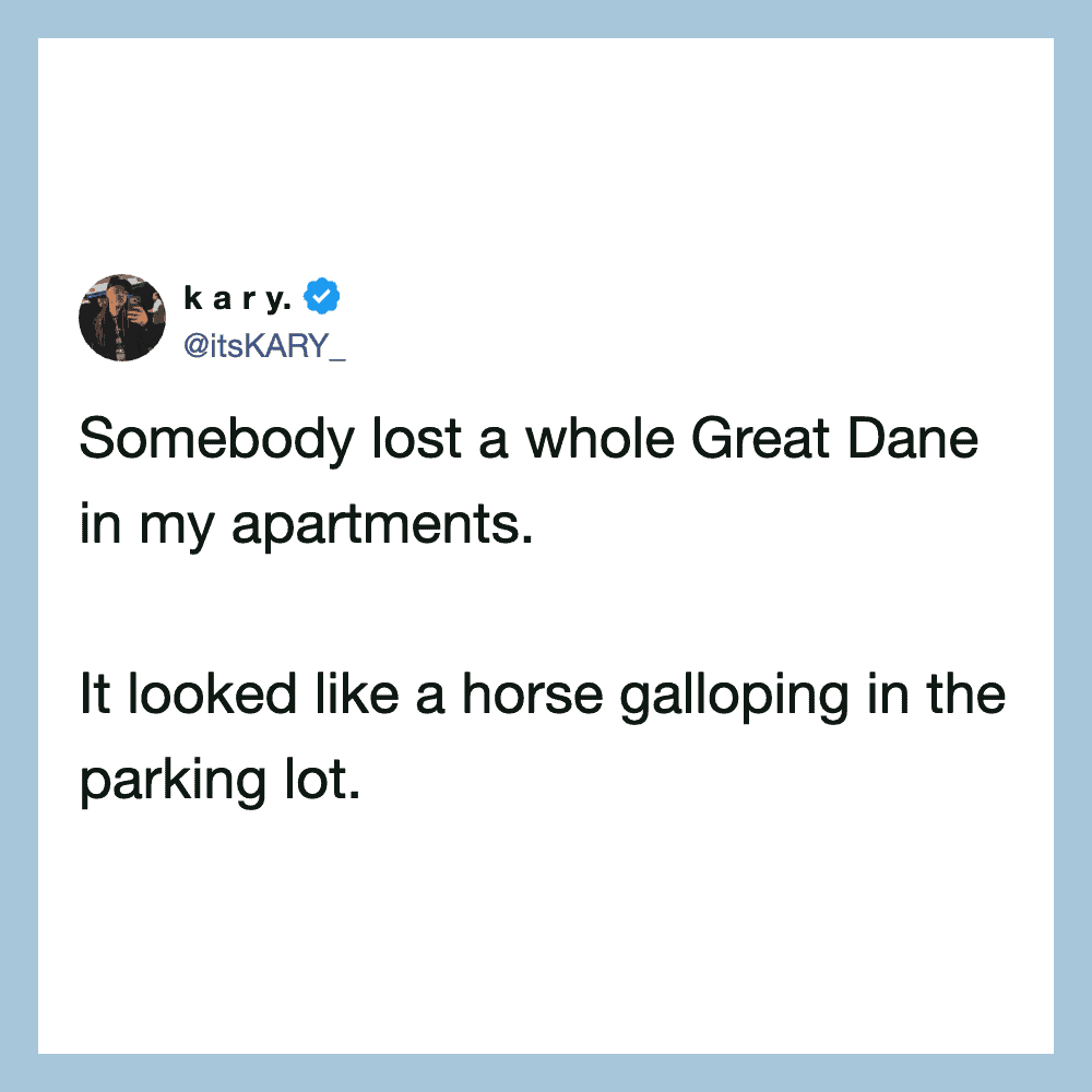 Tweet by kary: Somebody lost a whole Great Dane in my apartments. It looked like a horse galloping.