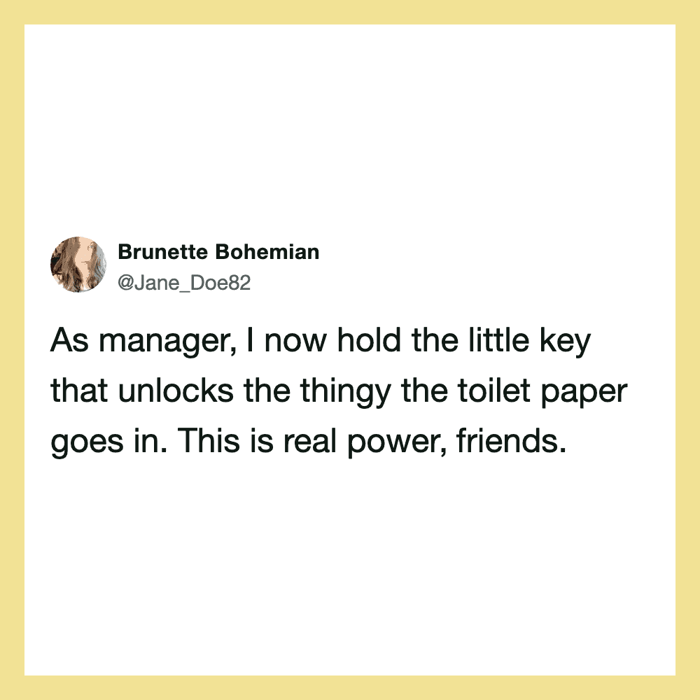 Tweet by Brunette Bohemian about holding the toilet paper key.