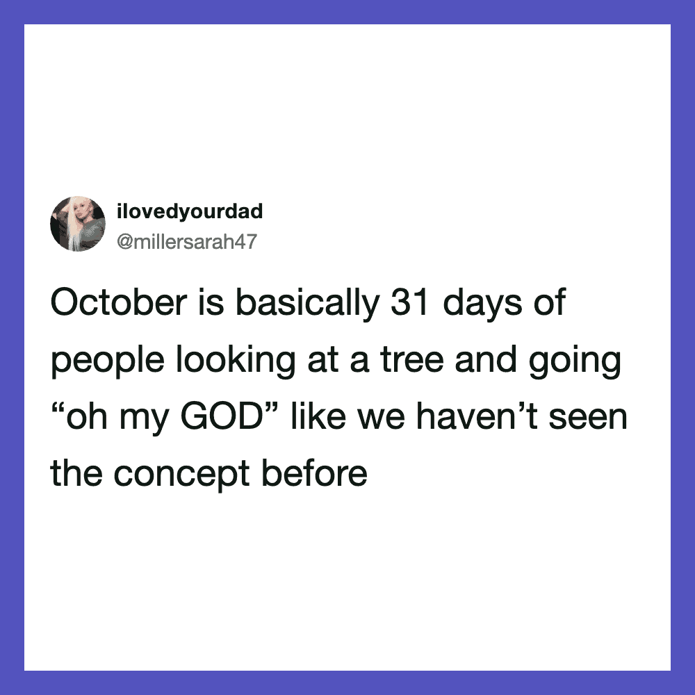 Tweet about October being 31 days of people looking at trees and saying 'oh my GOD'.