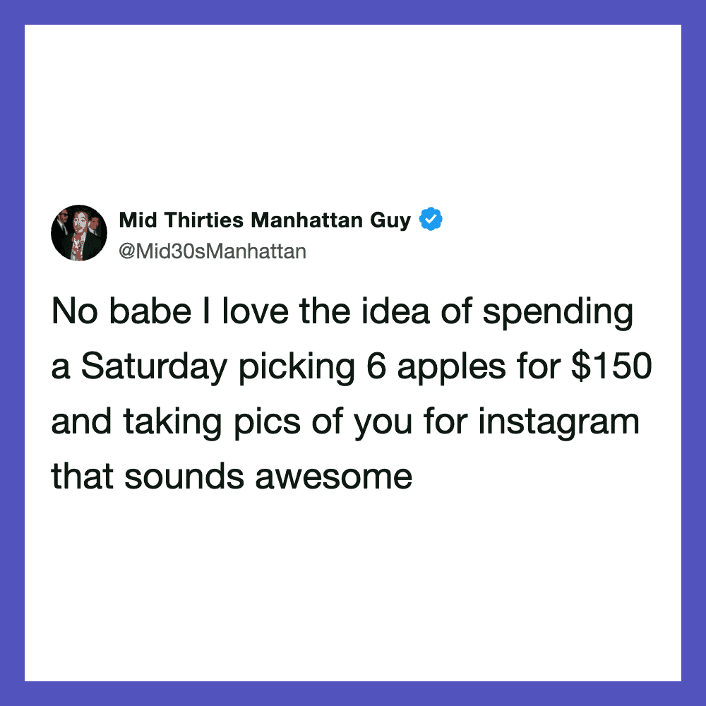 Mid Thirties Manhattan Guy tweet about spending Saturday picking apples for Instagram.