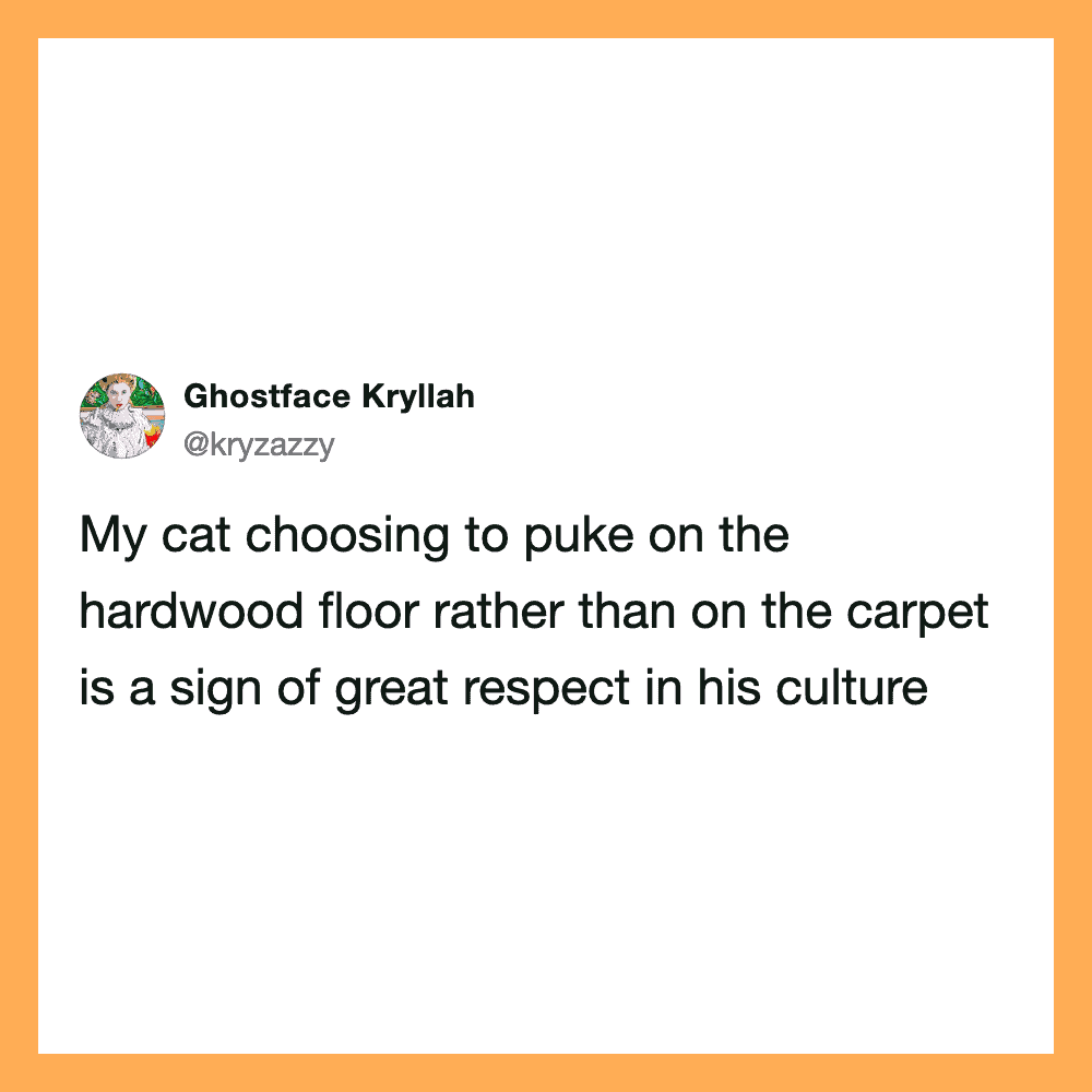 My cat choosing to puke on the hardwood floor rather than on the carpet is a sign of great respect.