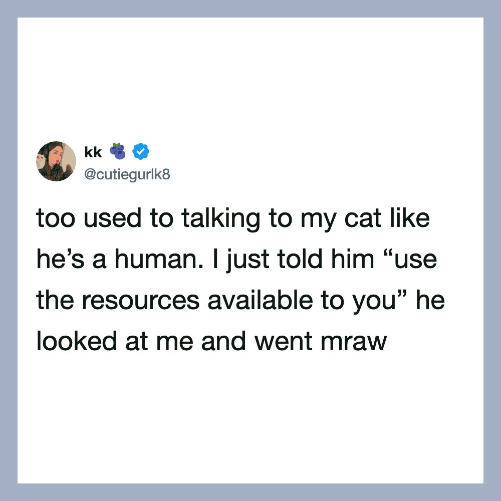 Twitter post by kk about talking to her cat like a human.