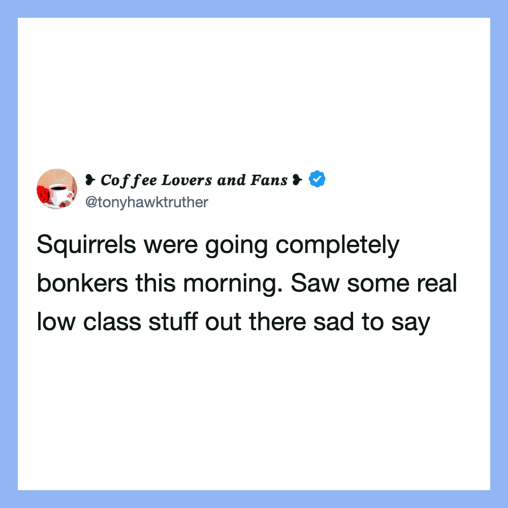 Squirrels were going completely bonkers this morning. Saw some real low class stuff out there sad to.