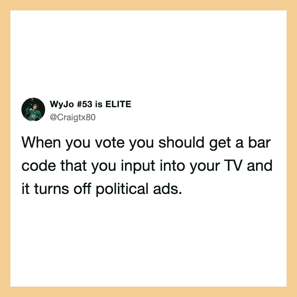 When you vote you should get a bar code that you input into your TV and it turns off political ads.