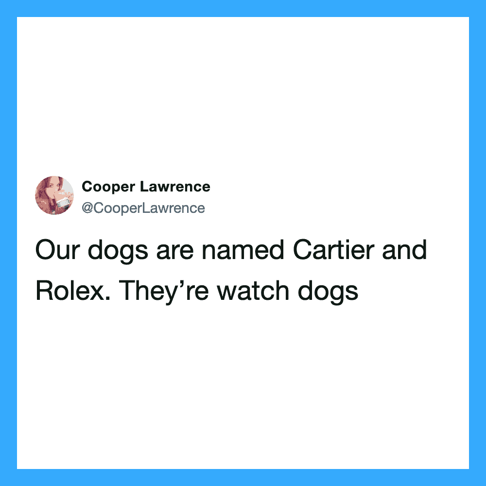Our dogs are named Cartier and Rolex. They’re watch dogs.