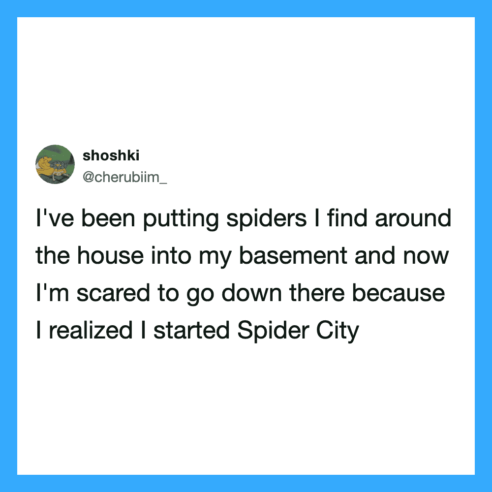 I've been putting spiders I find around the house into my basement and now I'm scared to go down the.