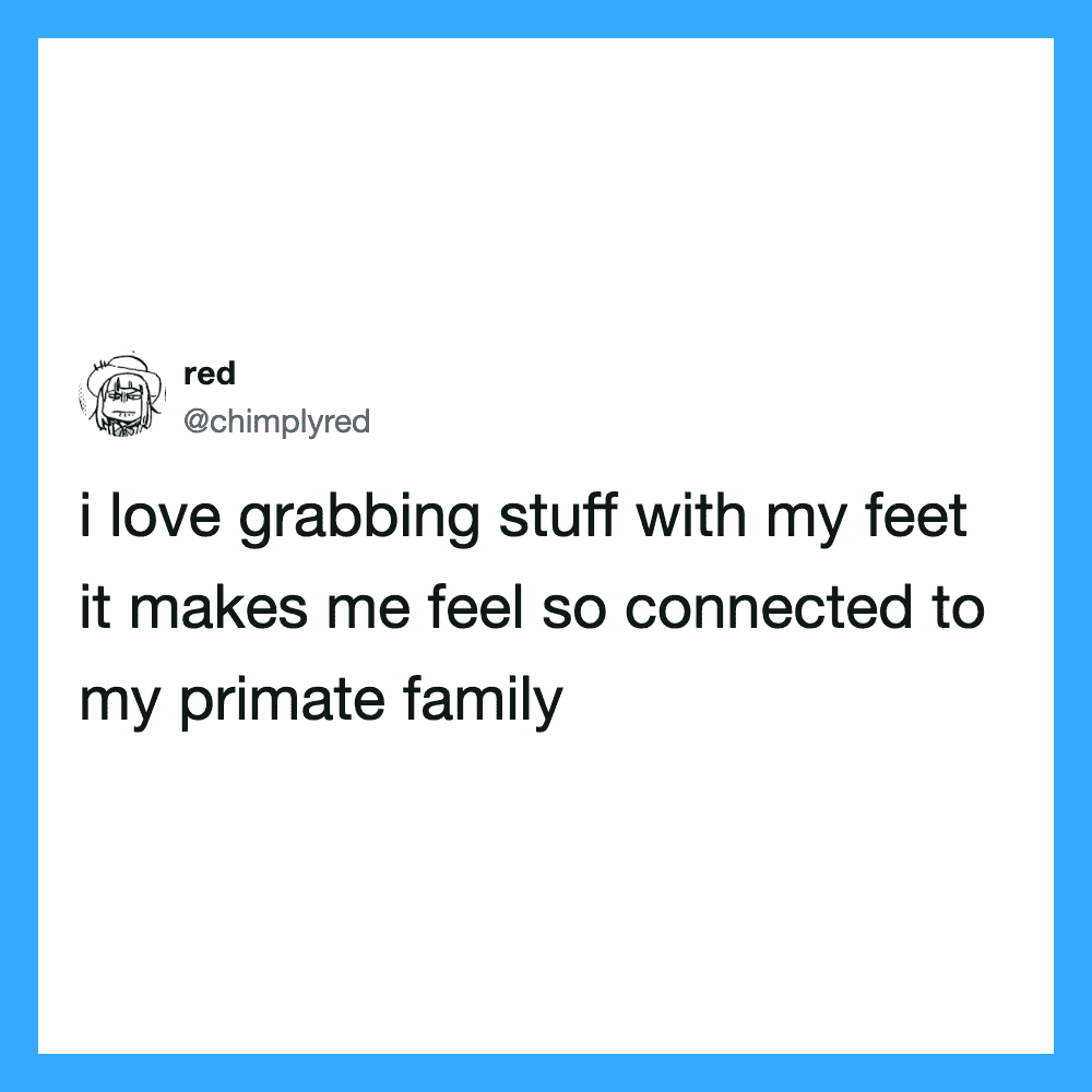 I love grabbing stuff with my feet it makes me feel so connected to my primate family.