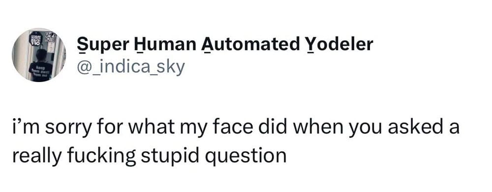 I'm sorry for what my face did when you asked a really fucking stupid question.