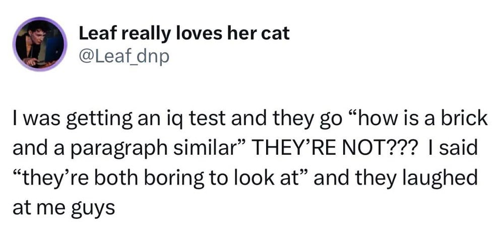 Leaf really loves her cat: tweet screenshot about an IQ test and a brick and paragraph joke.