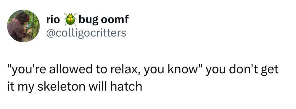 You're allowed to relax, you know you don't get it my skeleton will hatch.