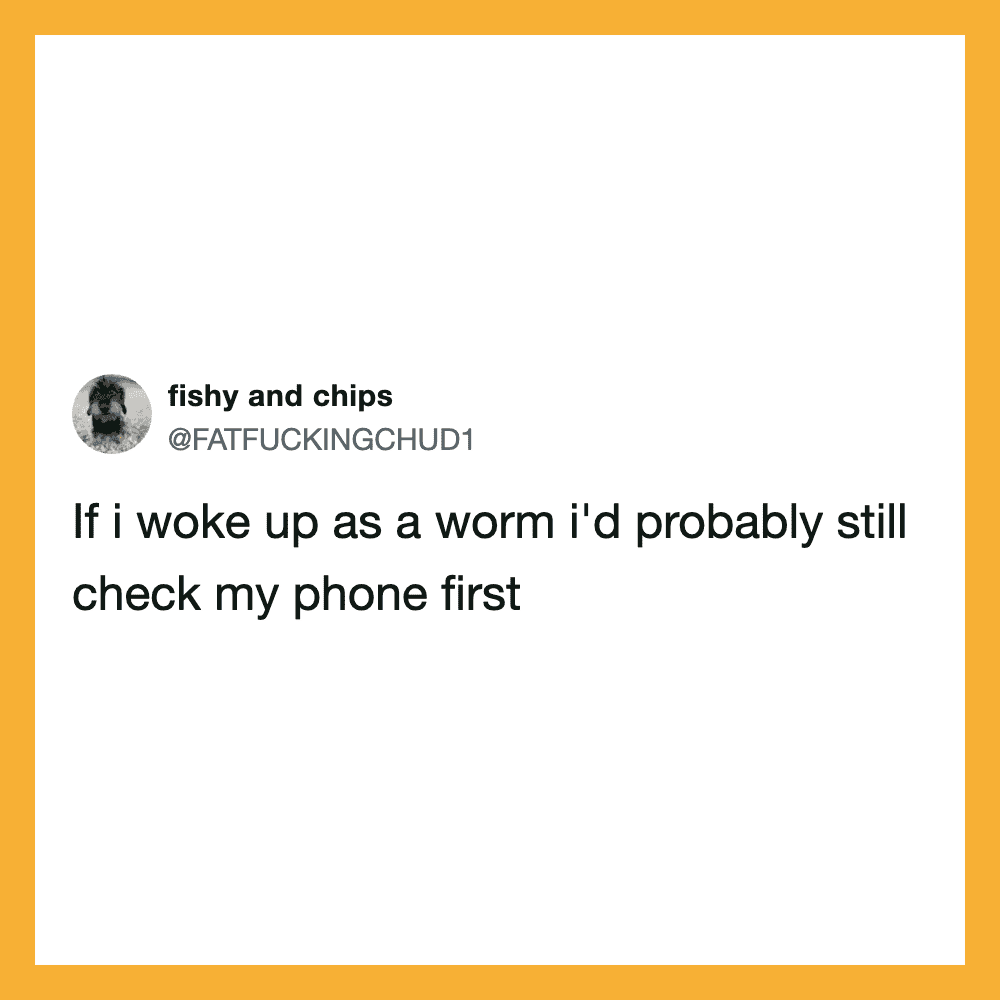 If i woke up as a worm i'd probably still check my phone first.