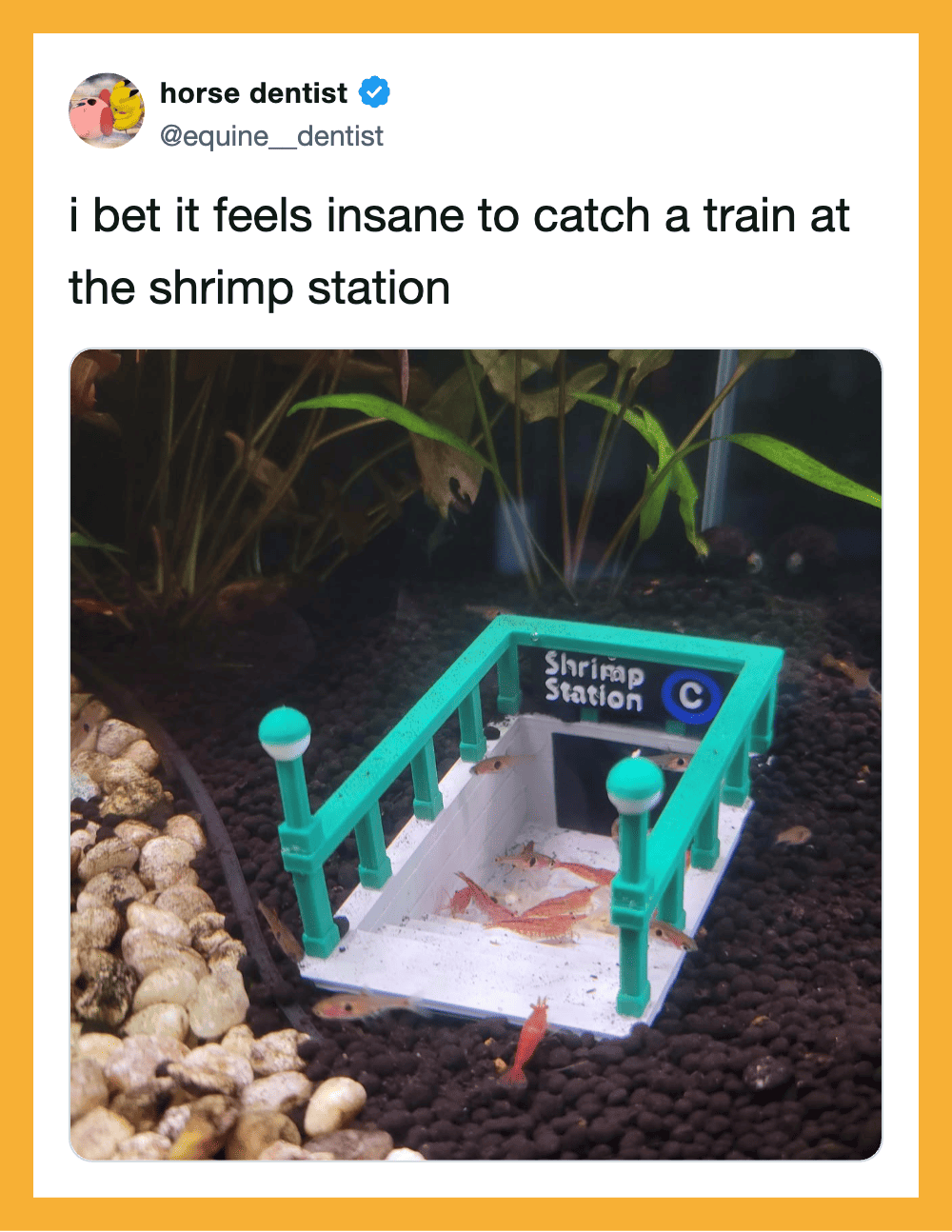 I bet it feels insane to catch a train at the shrimp station.
