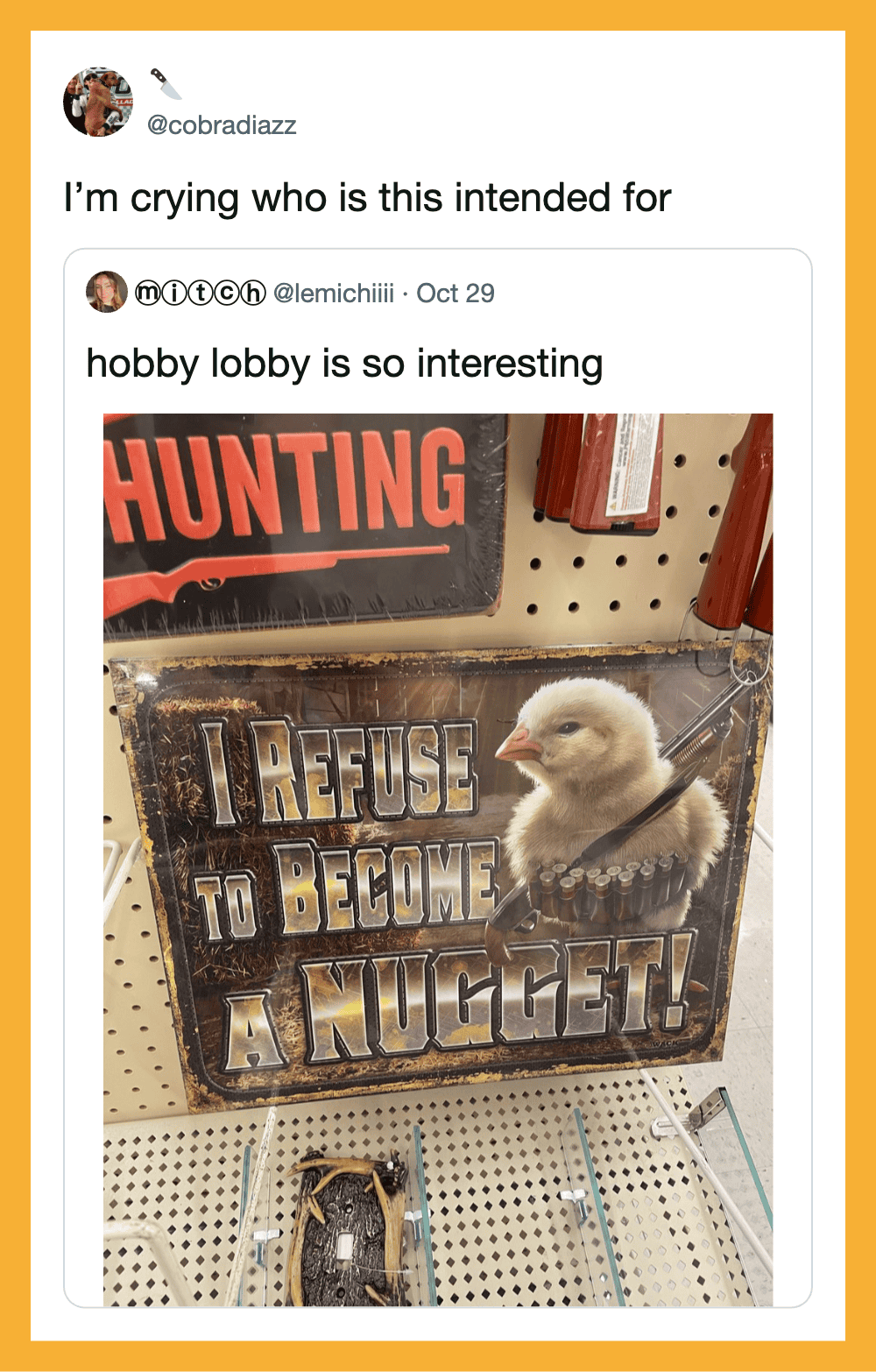 I’m crying who is this intended for hobby lobby is so interesting I refuse to become a nugget image.