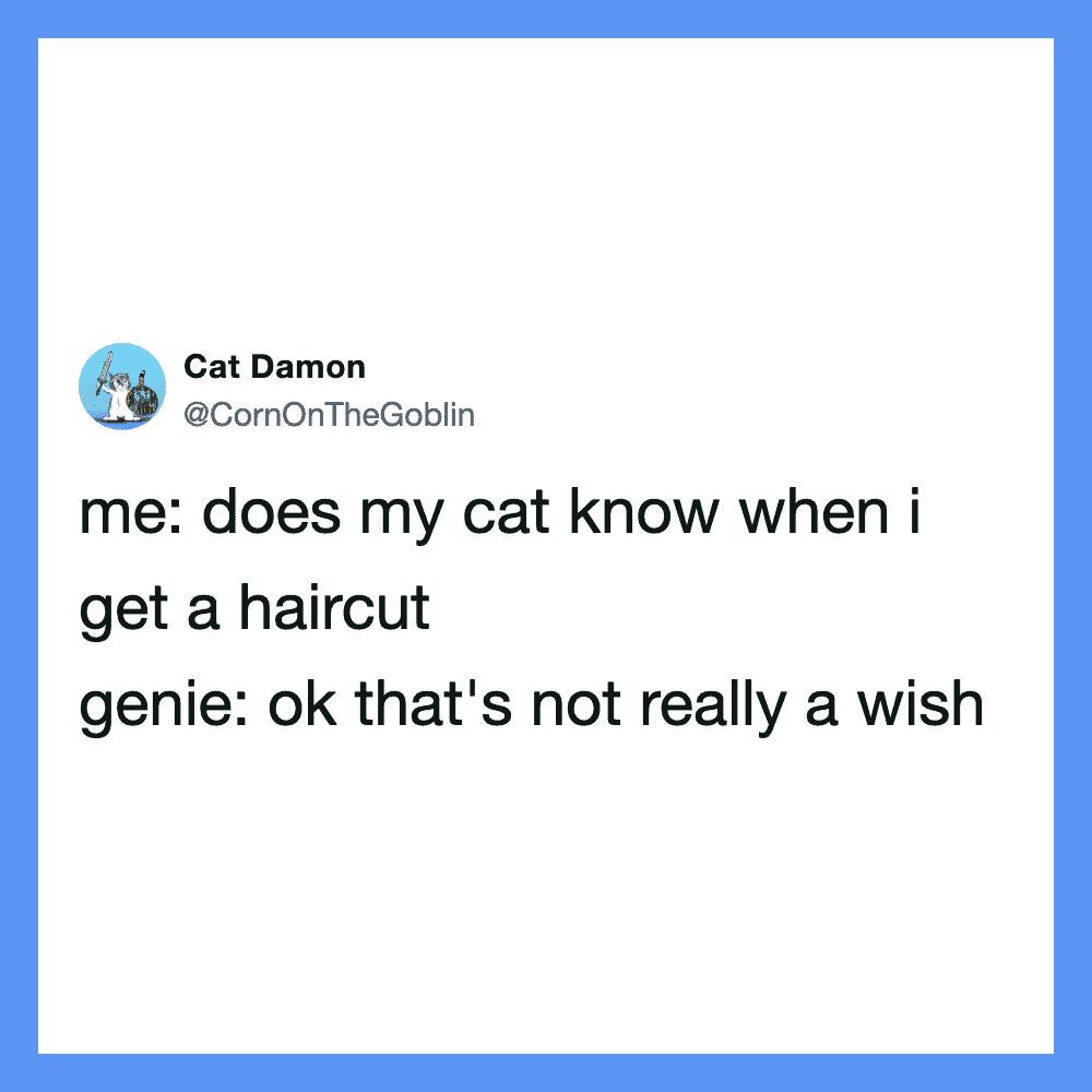 Twitter post by Cat Damon about cats and haircuts.