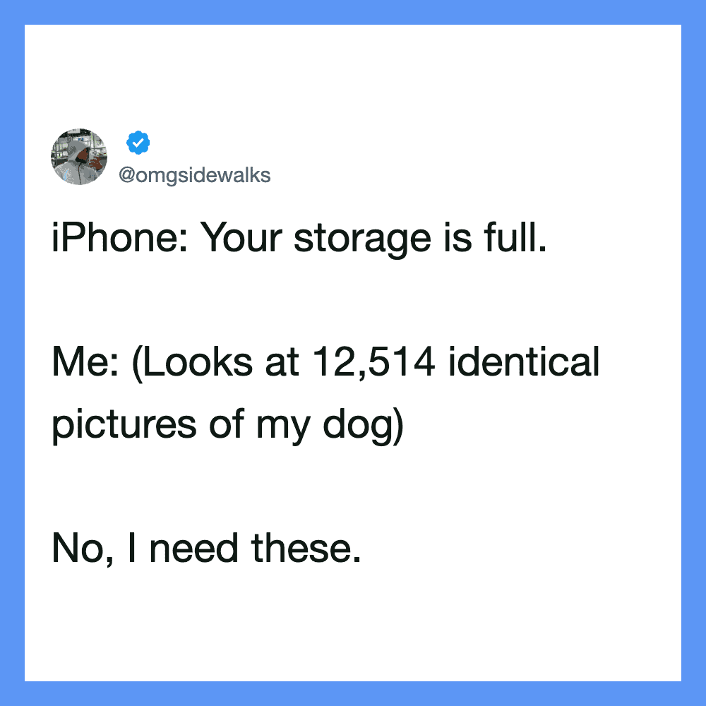 A tweet about iPhone storage being full and looking at pictures of a dog.
