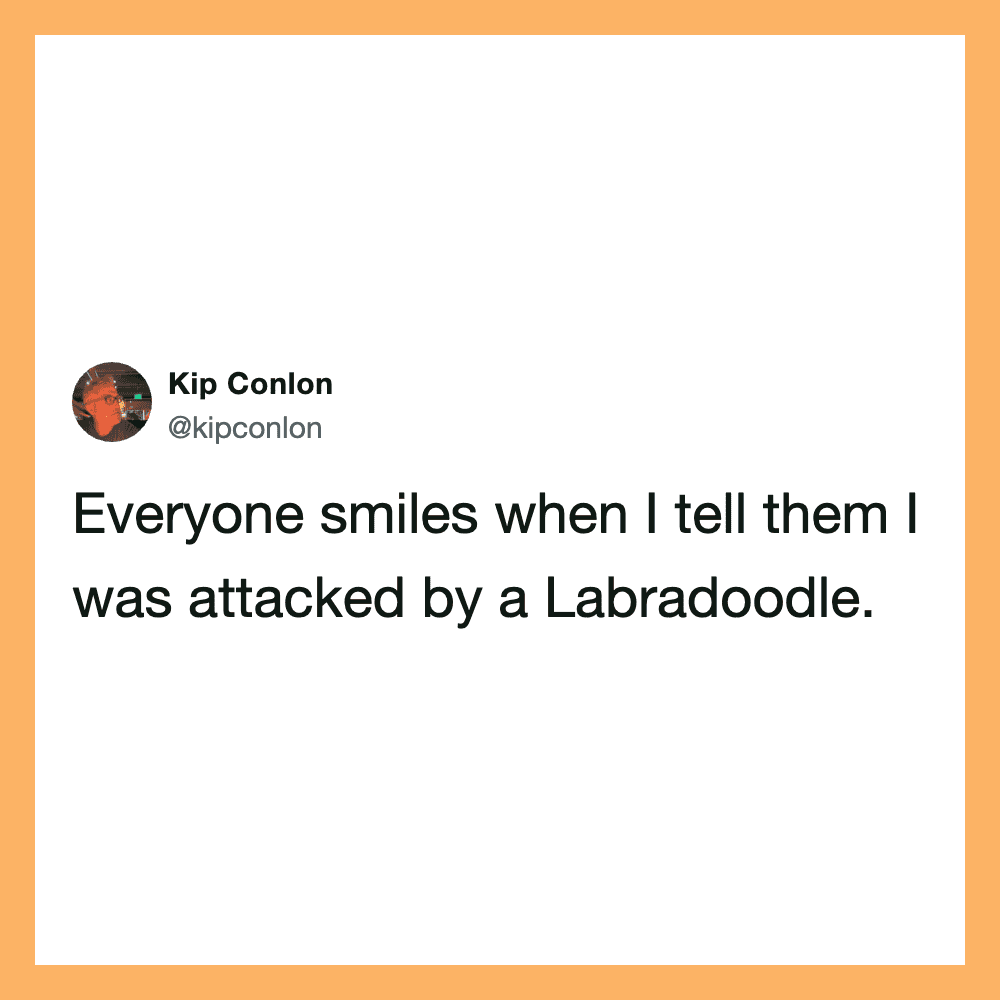 Everyone smiles when I tell them I was attacked by a Labradoodle.