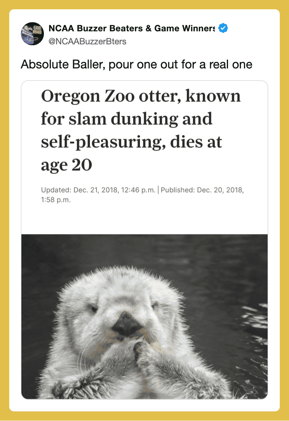 Oregon Zoo otter, known for slam dunking and self-pleasuring, dies at age 20.