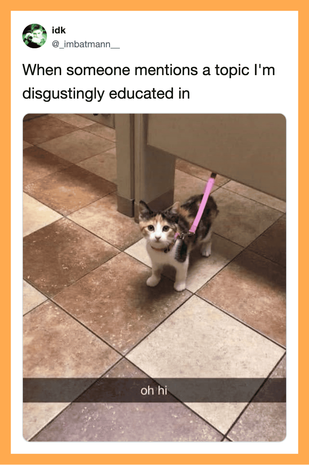 Cat with a pink leash looking up, meme about being disgustingly educated.