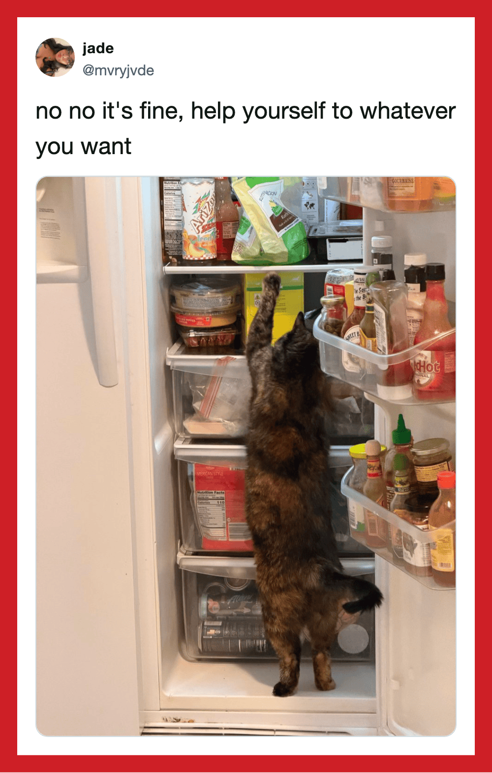 A cat standing on its hind legs reaching into a refrigerator filled with food and condiments.