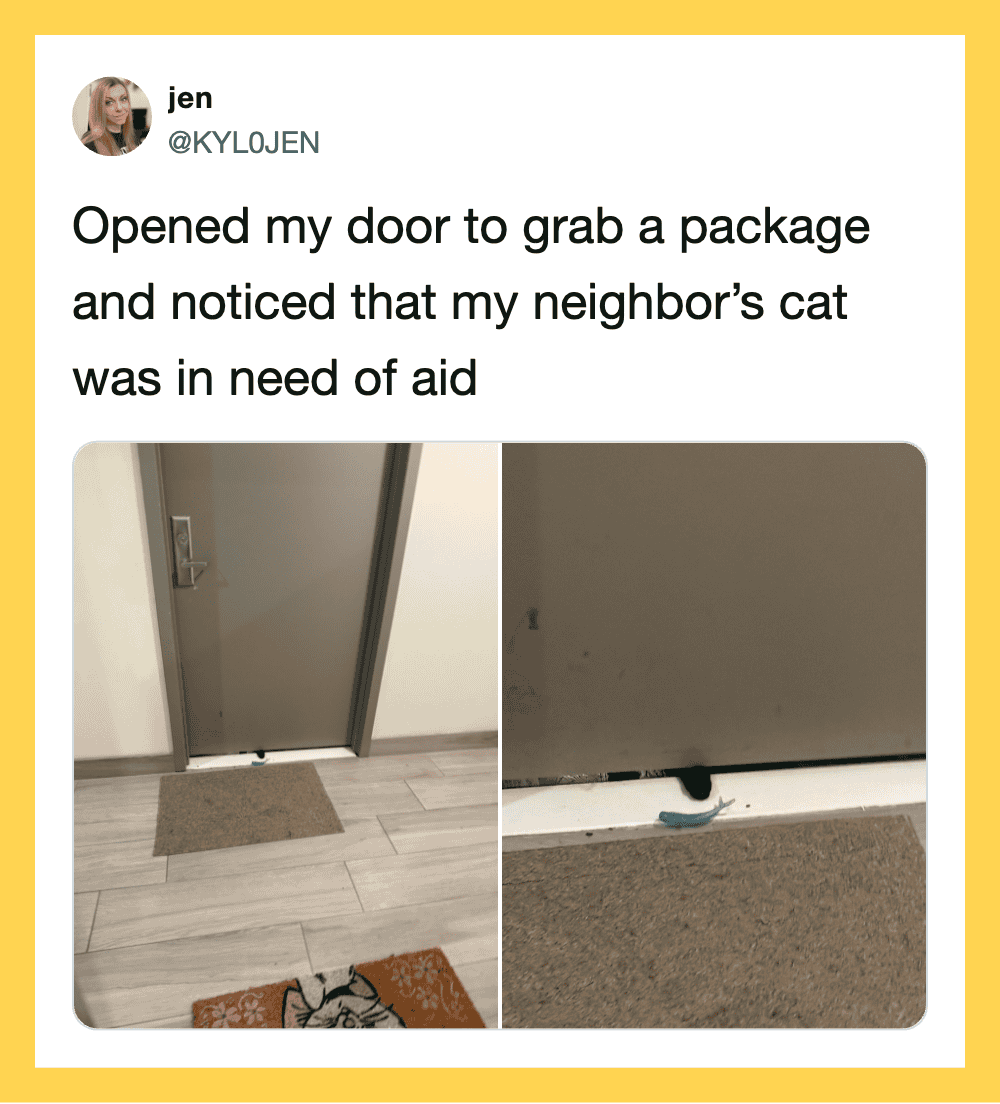 Neighbor's cat in need of aid under door, seen in two photos.