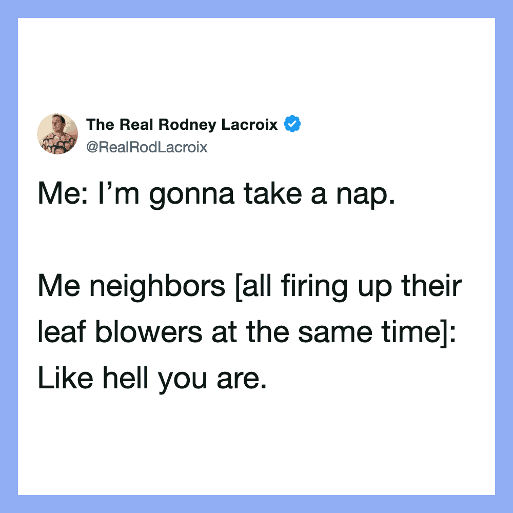 The Real Rodney Lacroix tweet: Me: I’m gonna take a nap. Me neighbors [all firing up their leaf blow.