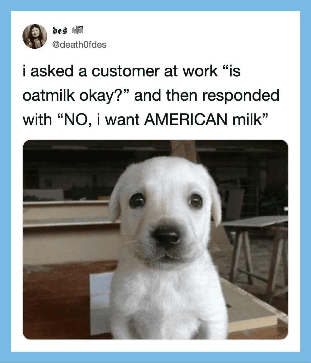 Cute puppy with a serious expression, caption about asking for American milk.
