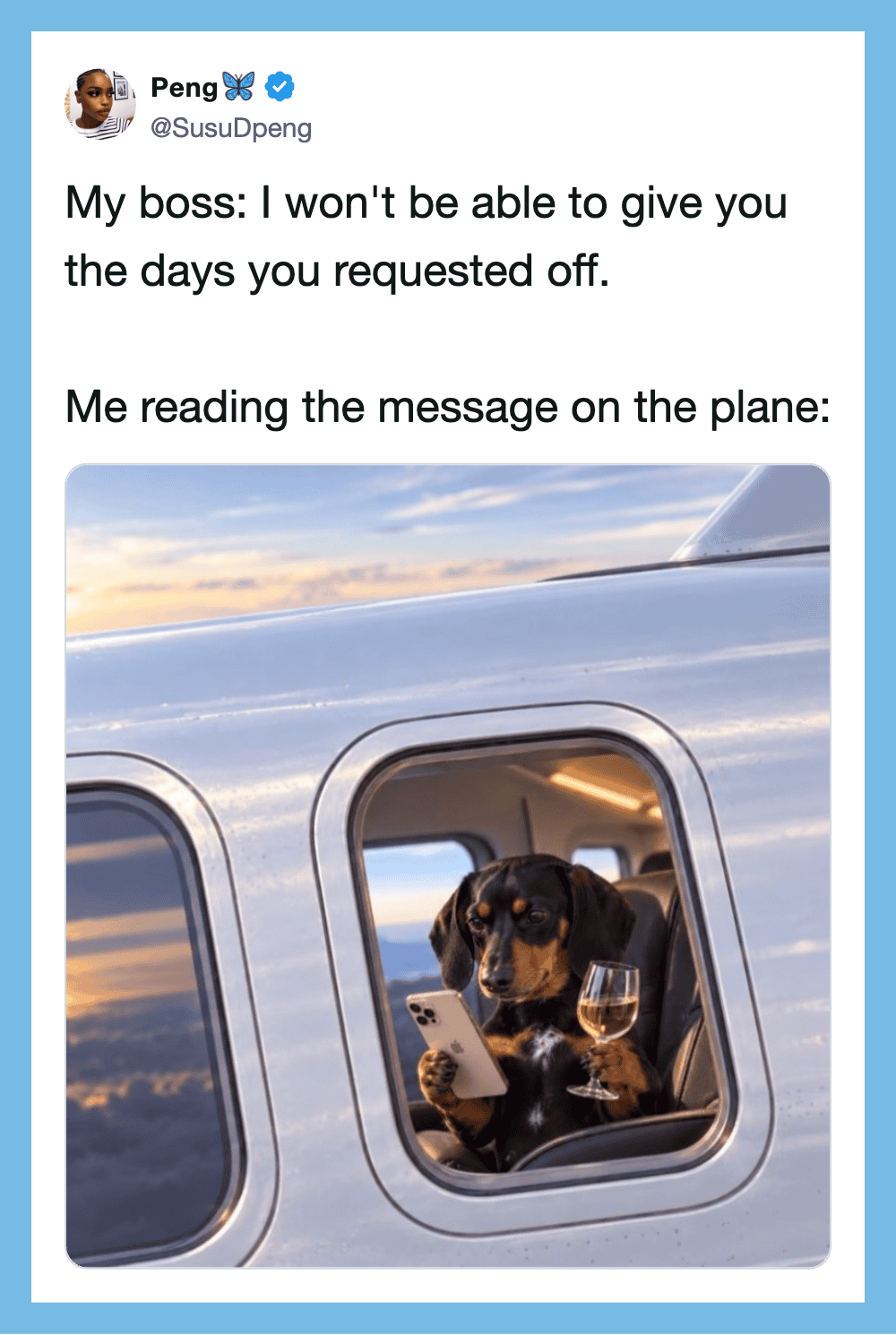 Dog reading message on plane window with sunset view.