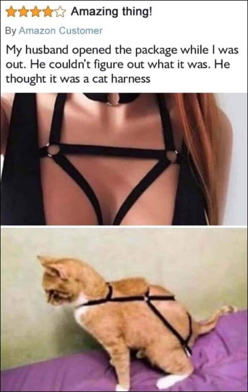 Funny review about a cat harness with a picture of a woman and a cat in harness.