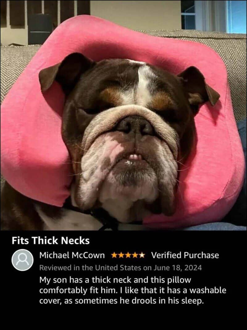 Dog with a pink neck pillow, drooling in sleep, fits thick necks.