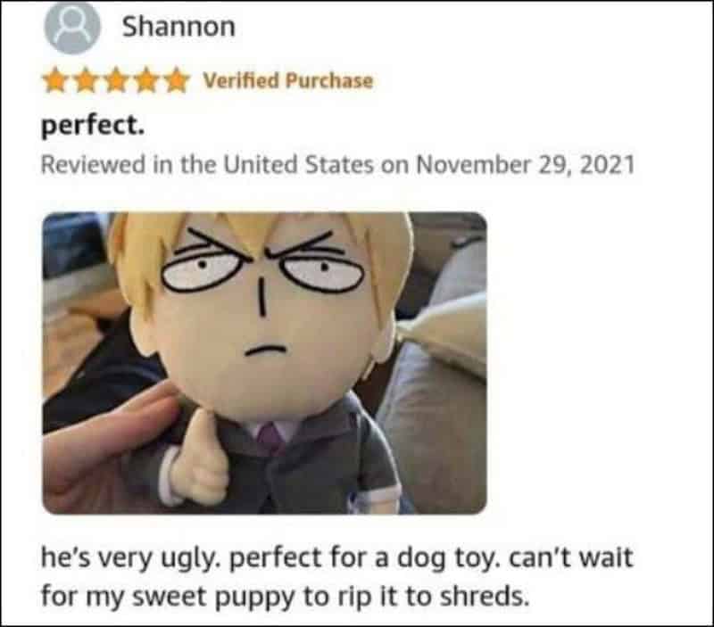 Review of a plush toy with a serious face, rated perfect, with a humorous comment.