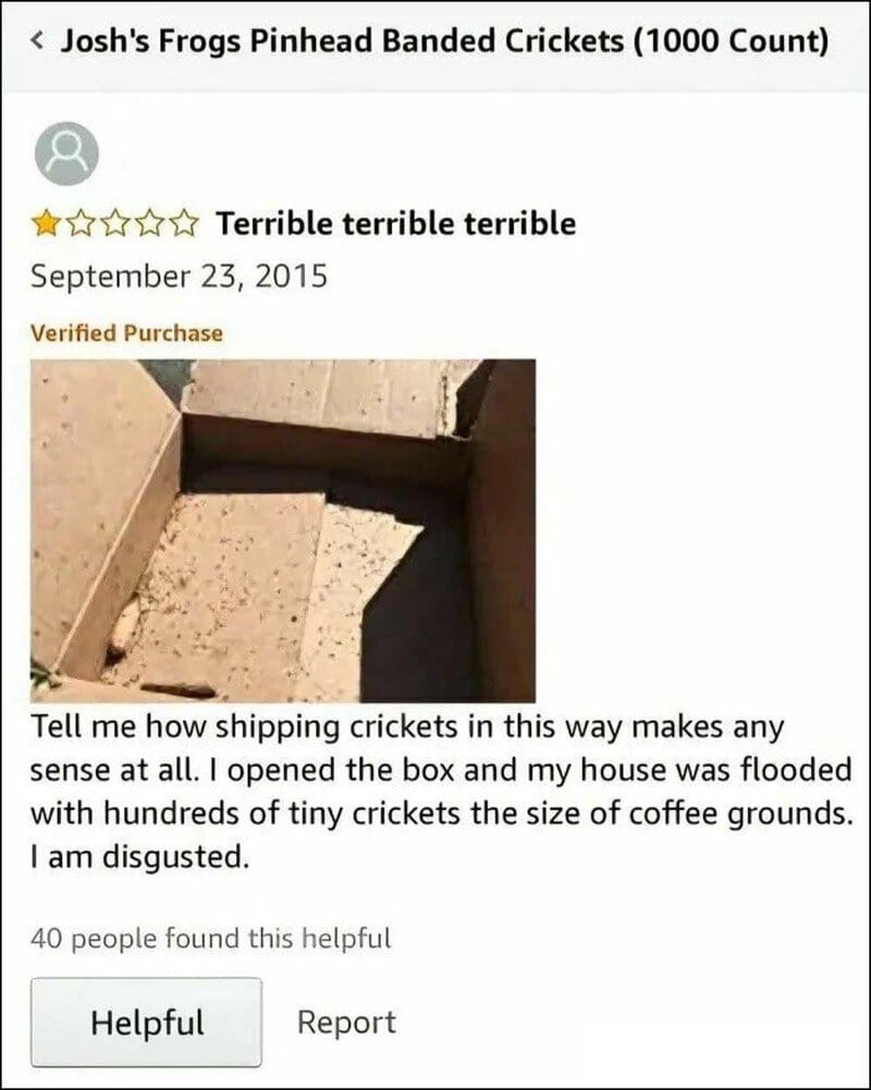 Josh's Frogs Pinhead Banded Crickets 1000 Count review with a photo of tiny crickets in a box.