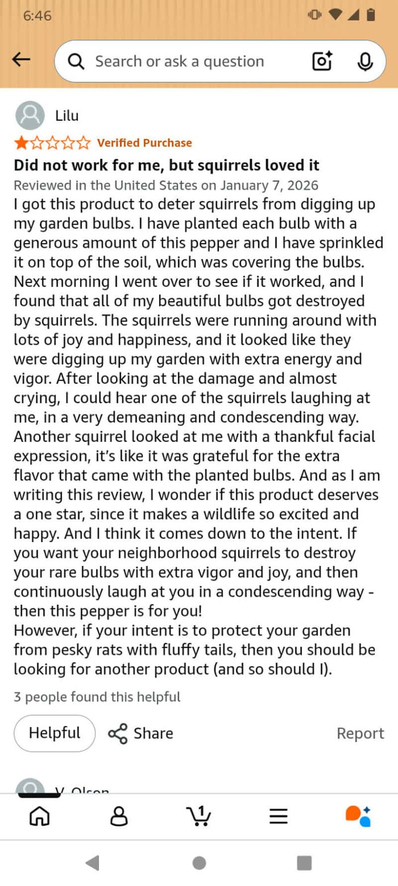 Review about squirrel-proof bird feeder, praising its effectiveness and design.