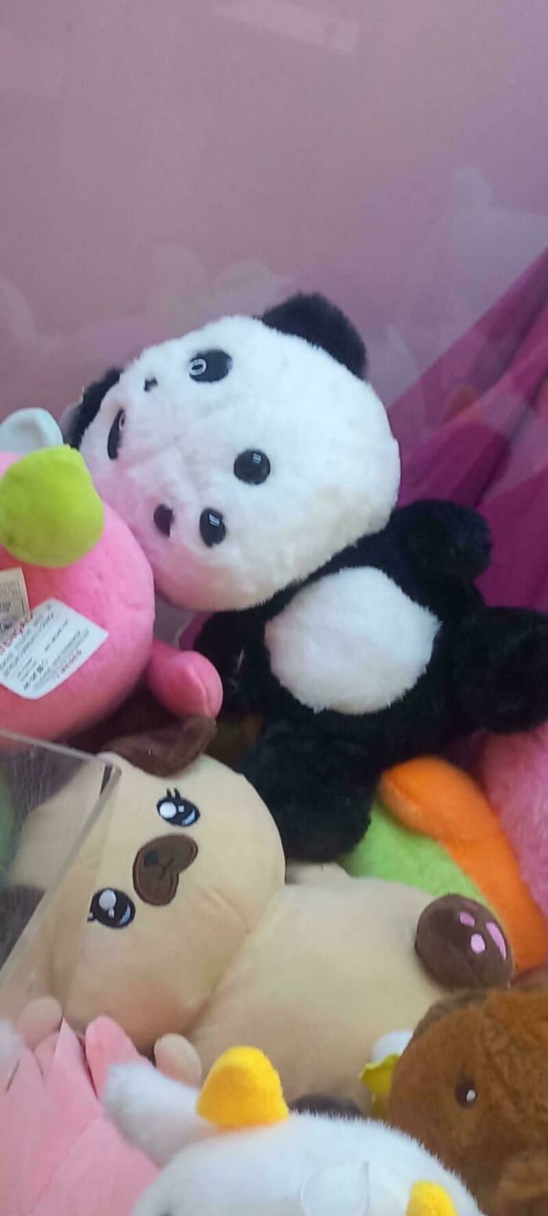 Collection of plush toys, including a panda, a pink character, and a dog, on a pink background.